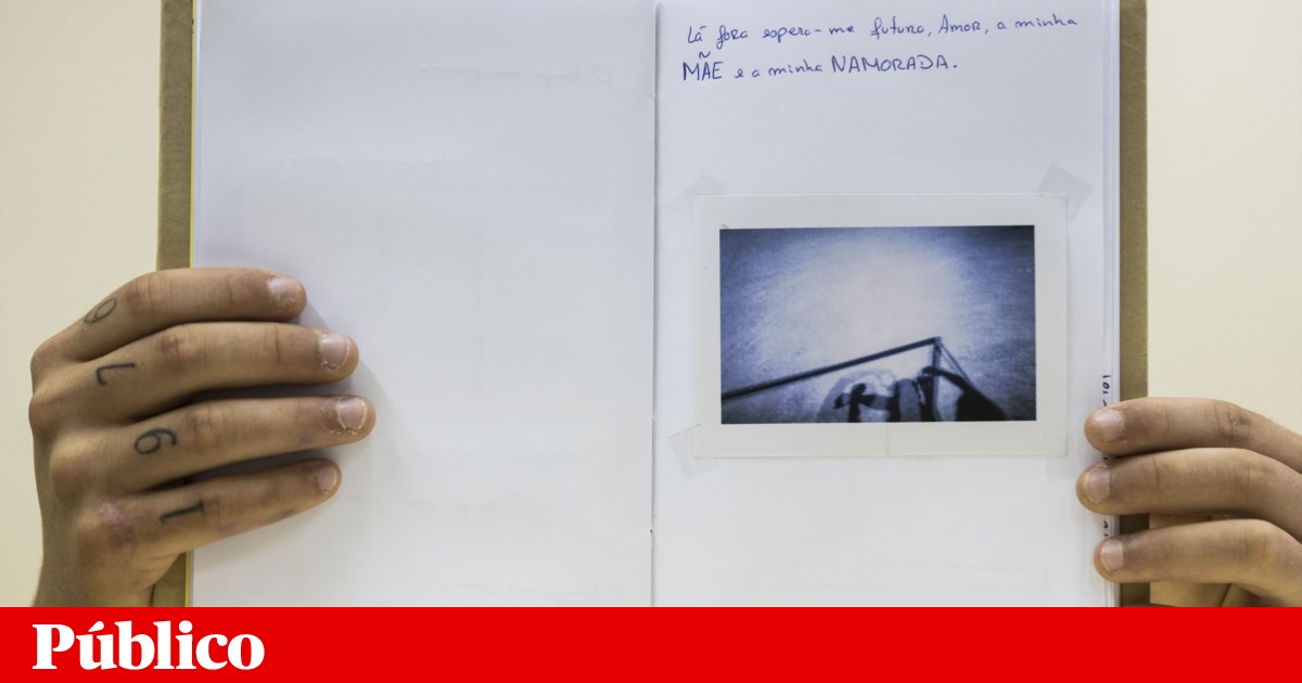 RASI: Educational guardianship measures increased by 21.5%