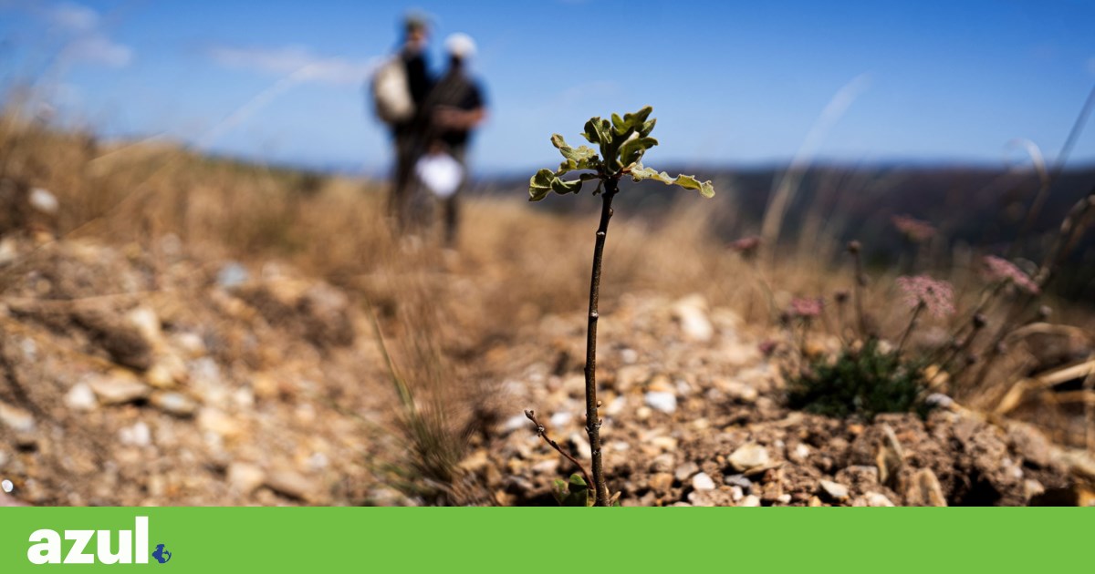 Bureaucracy and delays leave municipalities without funds from the Village Condominiums programme