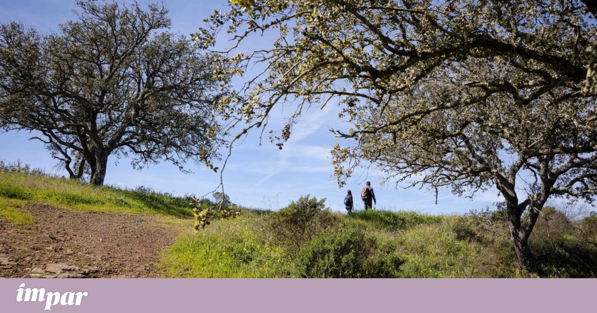 Spending more time outdoors improves eating habits