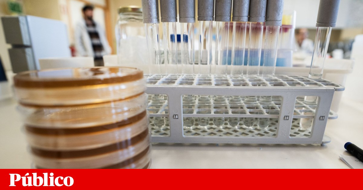 Laboratories have three months to spend 150 million euros from the RRP and are under “maximum stress”