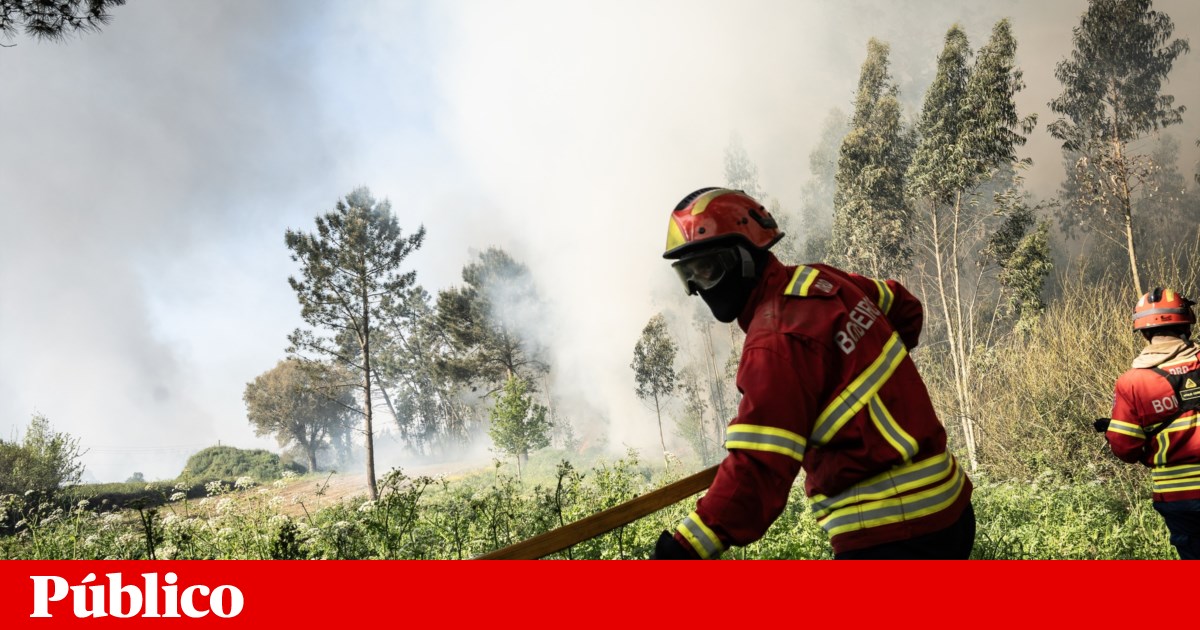 Around a hundred personnel fight fire in Vale de Cambra
