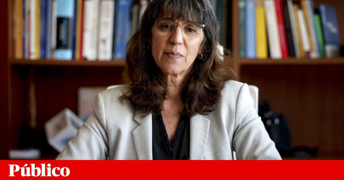 Helena Carreiras: “We must ensure that the degree and diploma legislation does not create greater inequalities in university access”