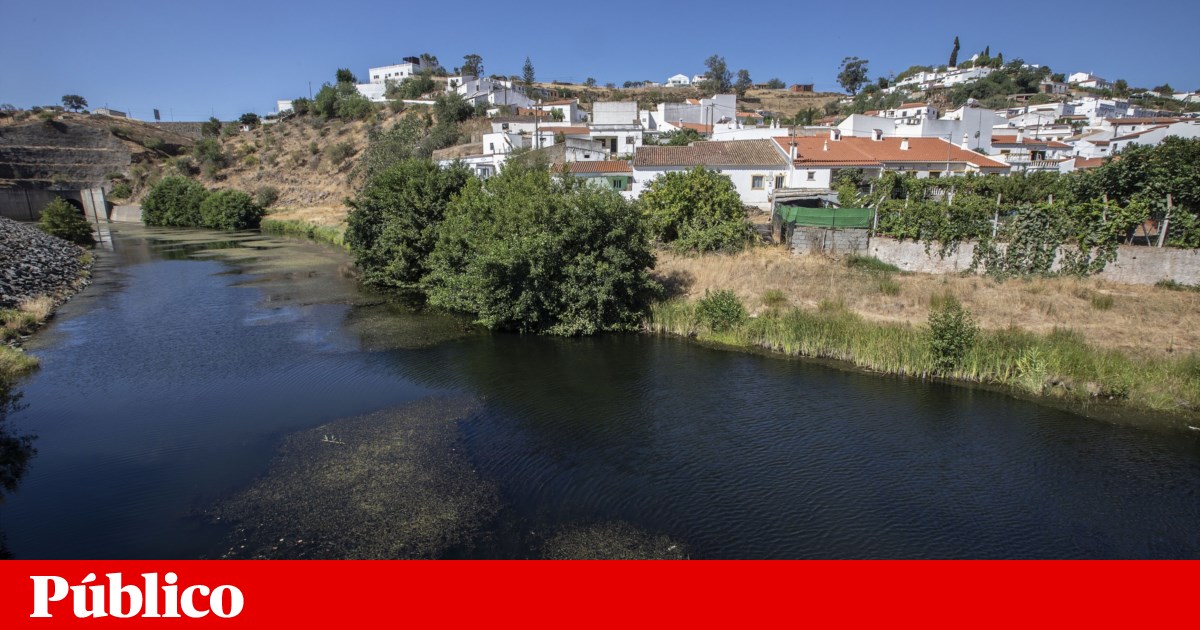 Castro Marim City Council detects 100 illegal dwellings and 70% are set to be demolished