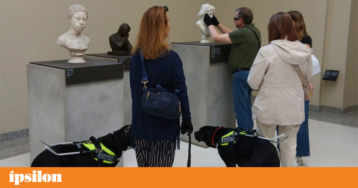 Soares dos Reis Museum in Porto develops project to become more accessible