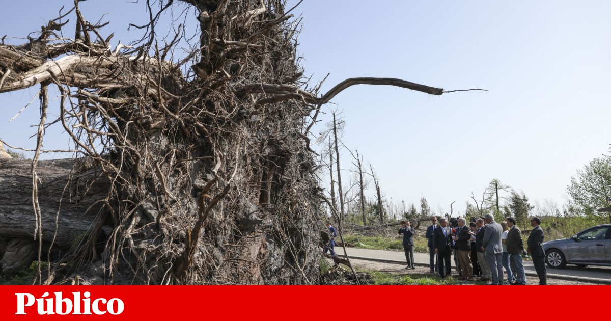 After a week of witnessing storm damage, Seguro promises to keep the Government under “surveillance”