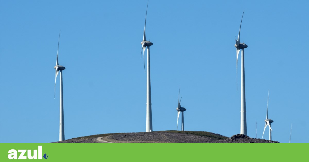 Renewables account for 78.5% of electricity in the first quarter