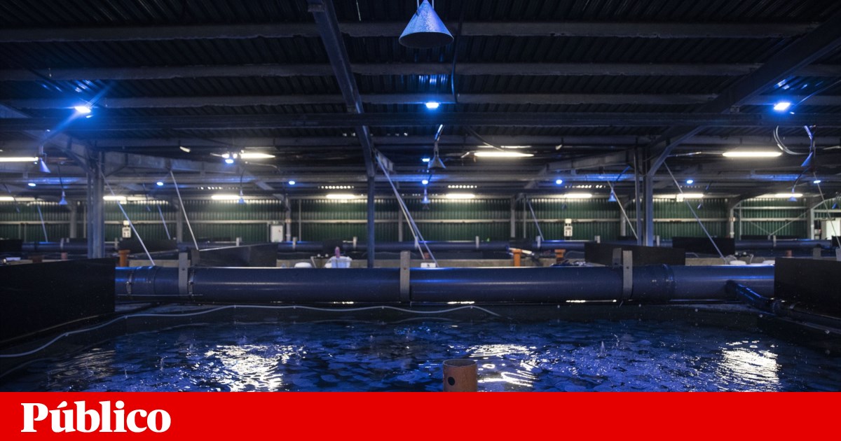 Aquaculture sector records five million in losses following storms and floods