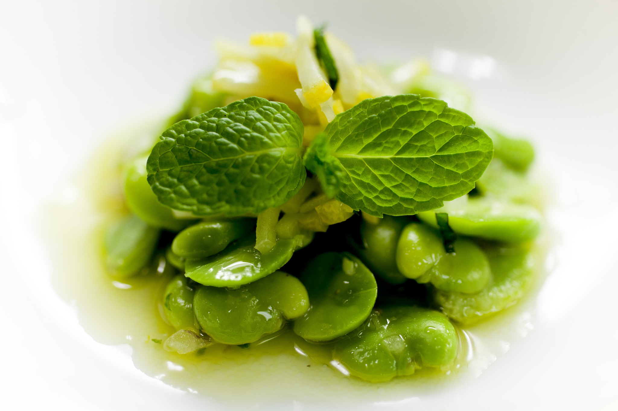 vinhos,verdes,singular,comidas,primavera,publico,2081404