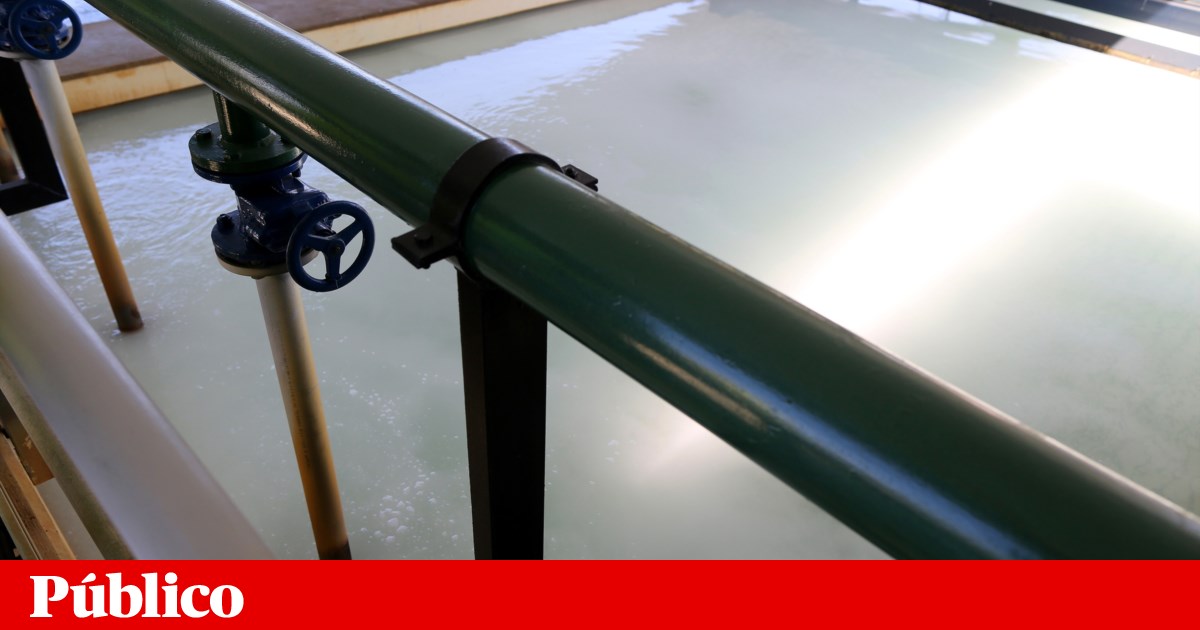 Águas do Algarve administrator resigns due to incompatibility with municipal role