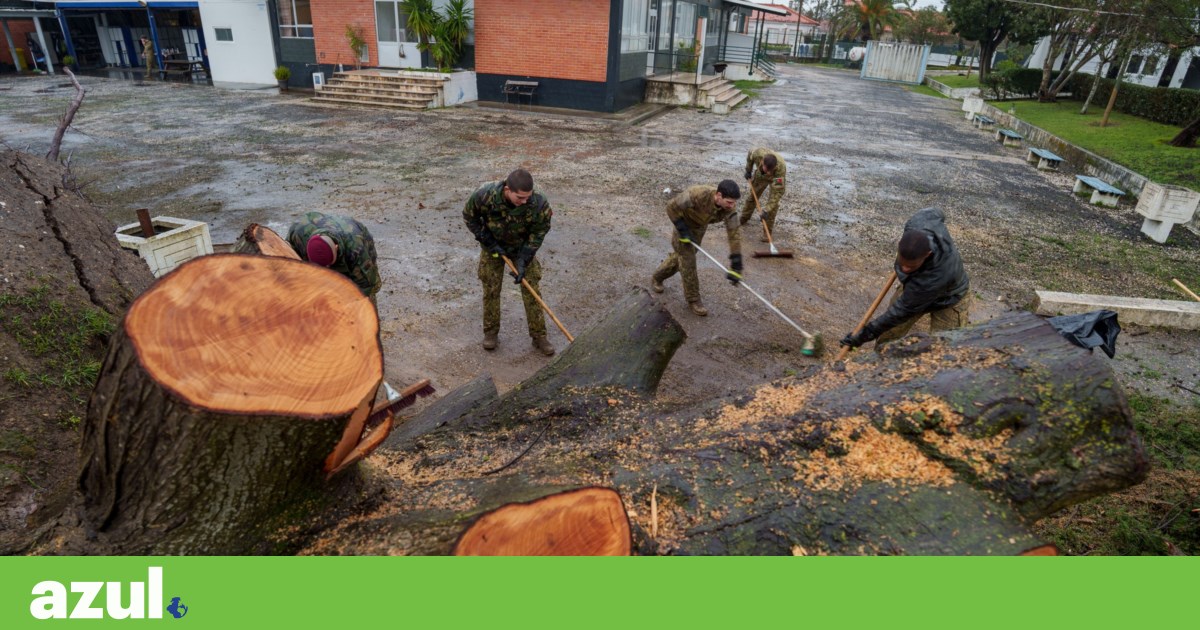 One third of municipalities still do not comply with the Climate Framework Law