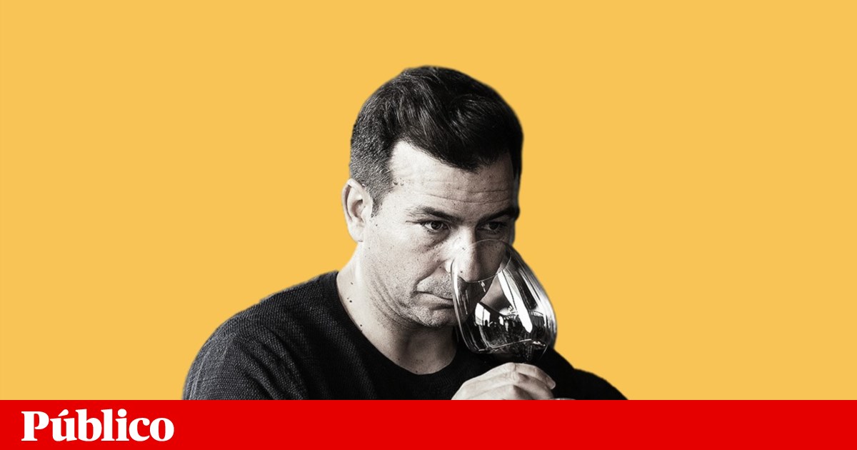 On the rise: wines for the terrace, for picnics, and for roast kid