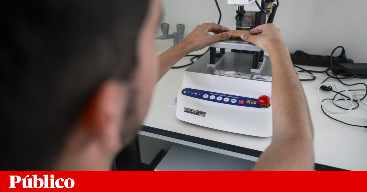 Rectors and polytechnics criticise the creation of the Technical Universities of Porto, Leiria and the West