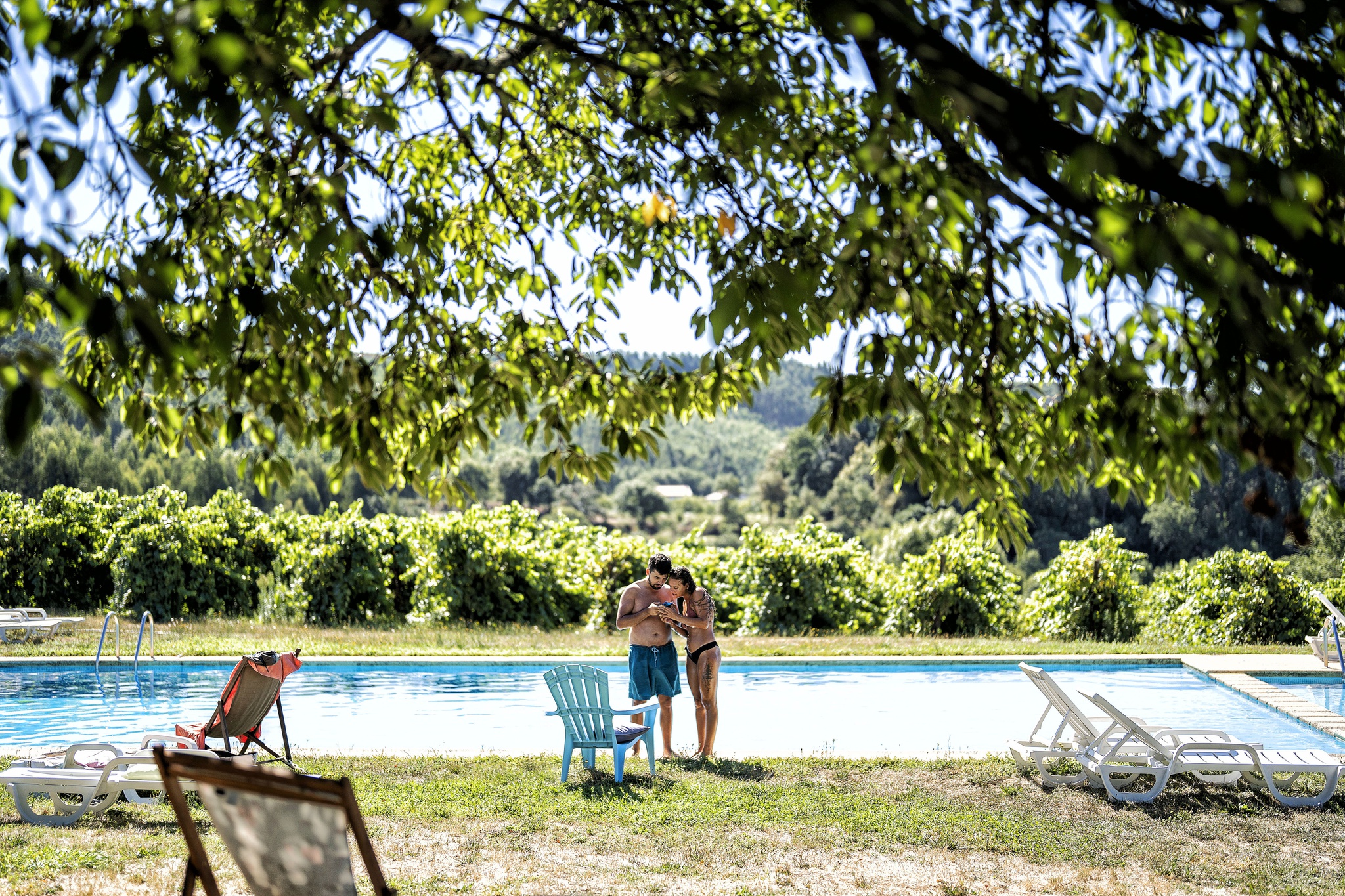 vinhos,verdes,publico,lousada,enoturismo,vinhos,gastronomia,singular,2081910