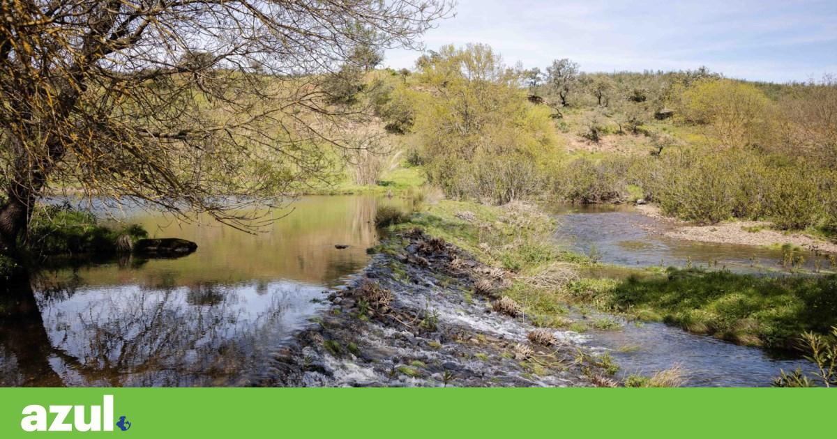 Vascão: the longest Portuguese river without dams will become a sanctuary for the Saramugo fish