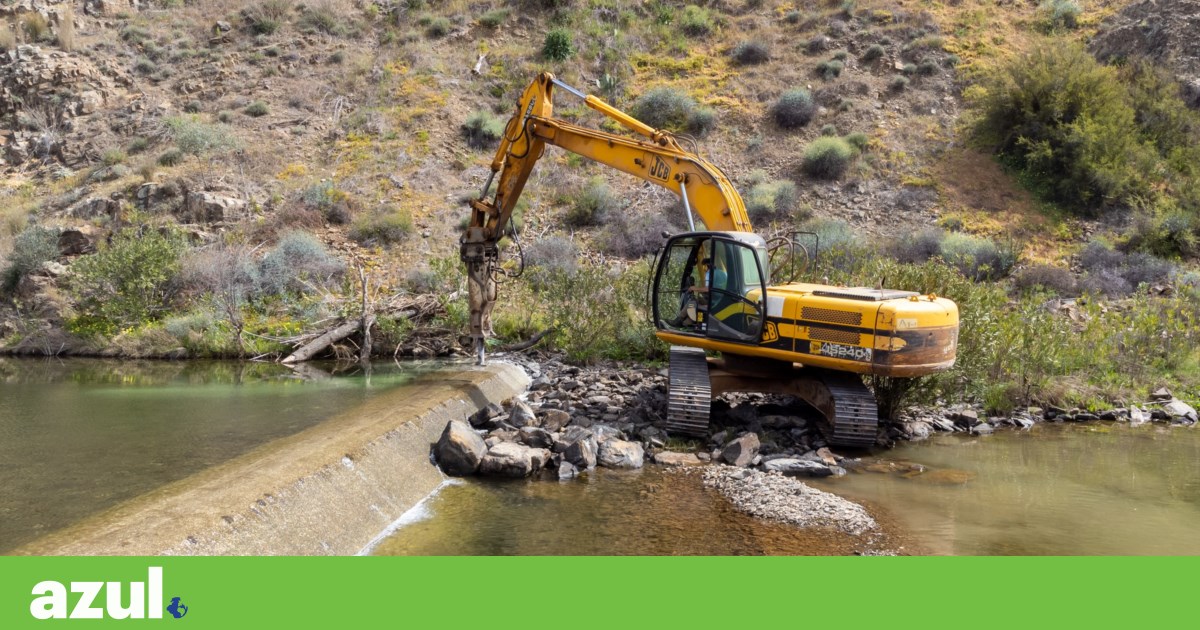 Galachos weir: the concrete was brought down, but no further barriers were moved