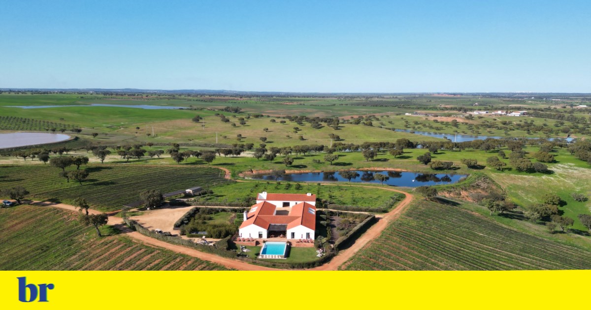 There is a place in the Alentejo that is in no hurry