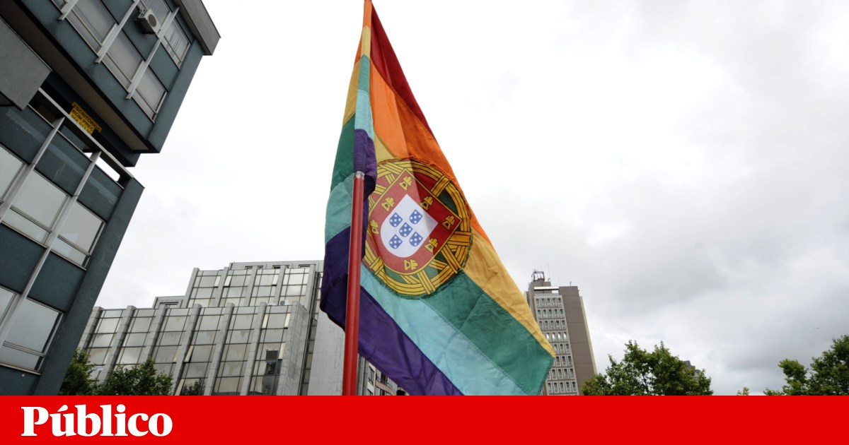 Parliament bans “ideological, partisan or associative” flags on public buildings