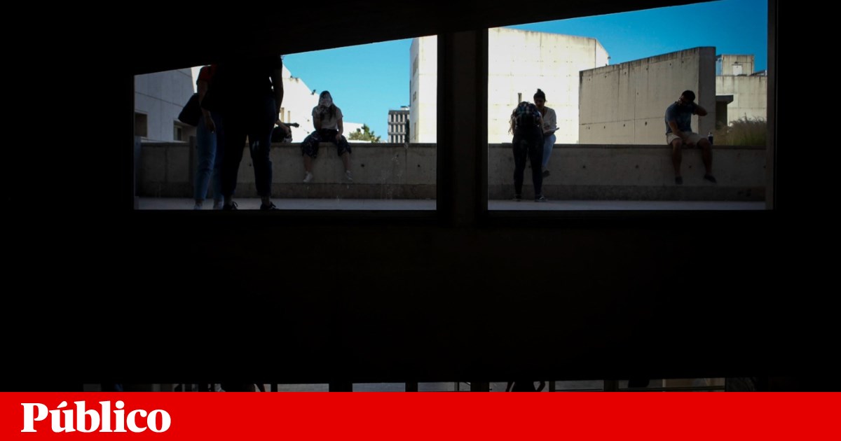 Study with Portuguese participation exposes flaws in academic integrity among students