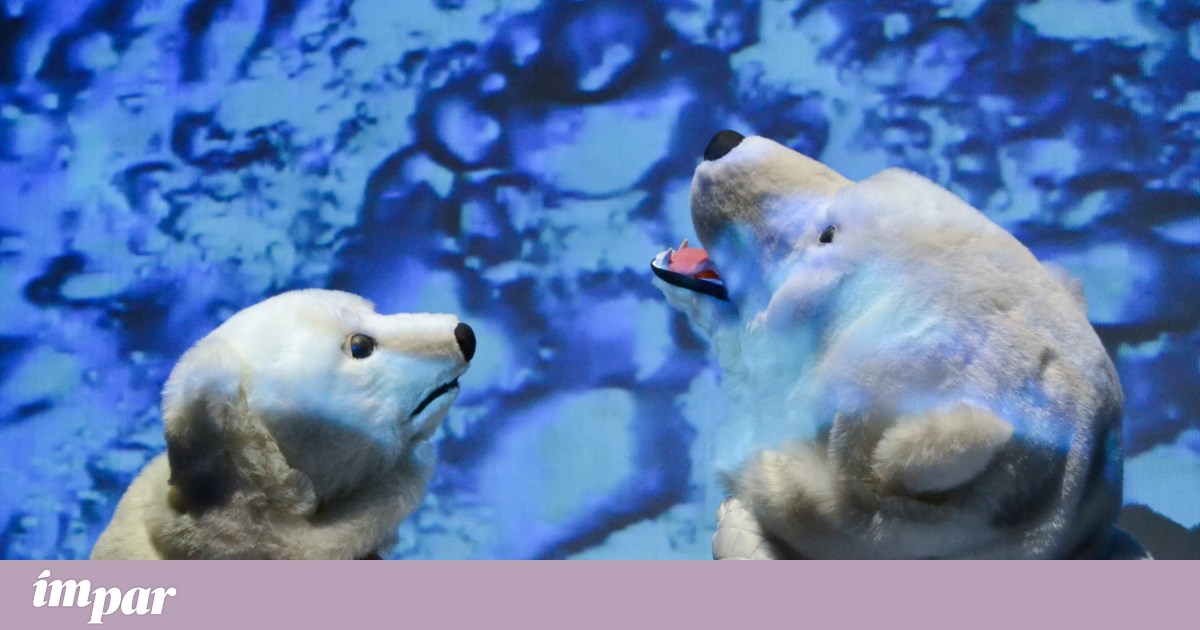 Freedom, ecology and plenty of ingenuity: 8 ideas to entertain the family