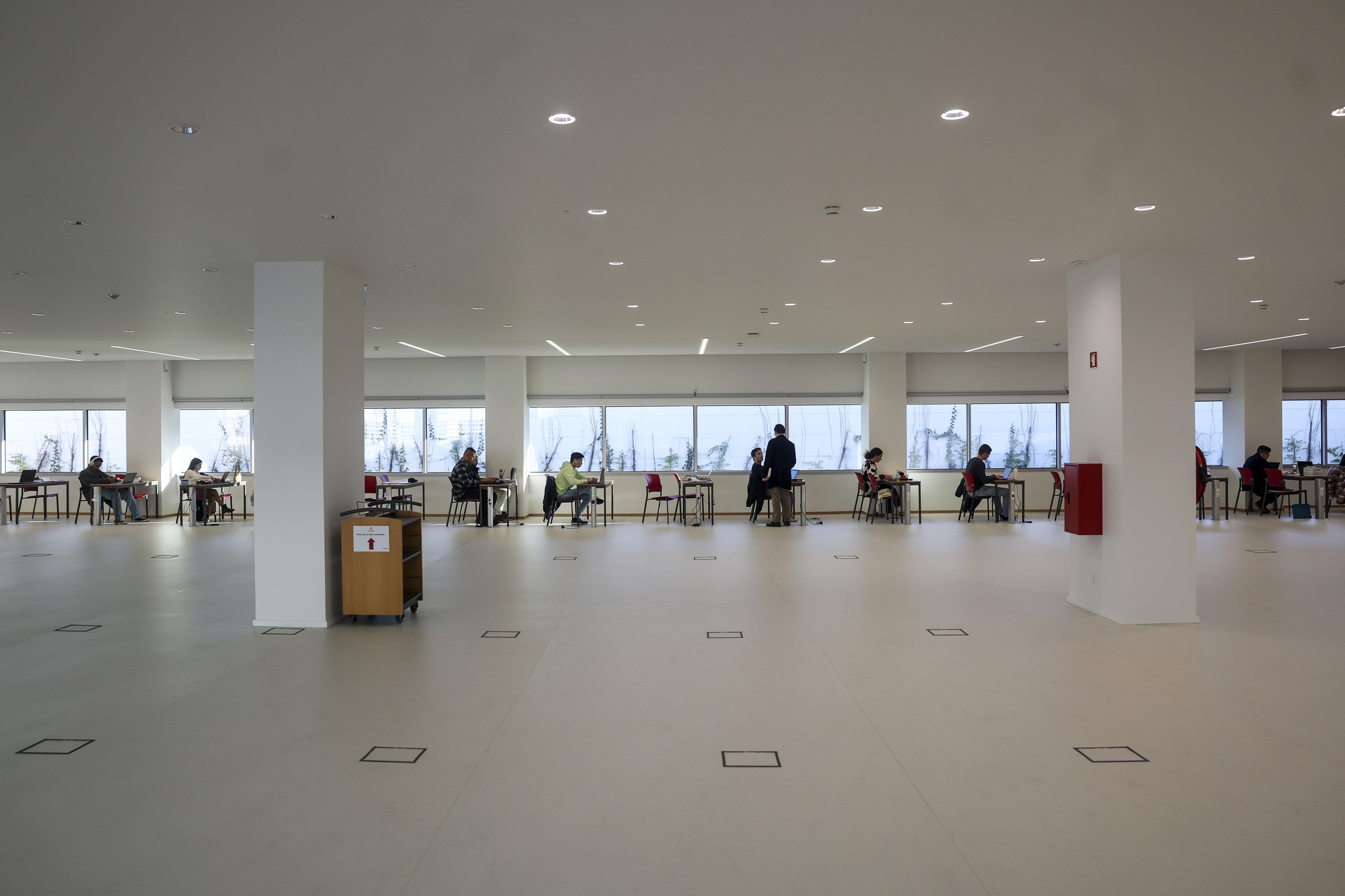 Sindicato acusa universidades de “maquilhagem de dados contratuais”