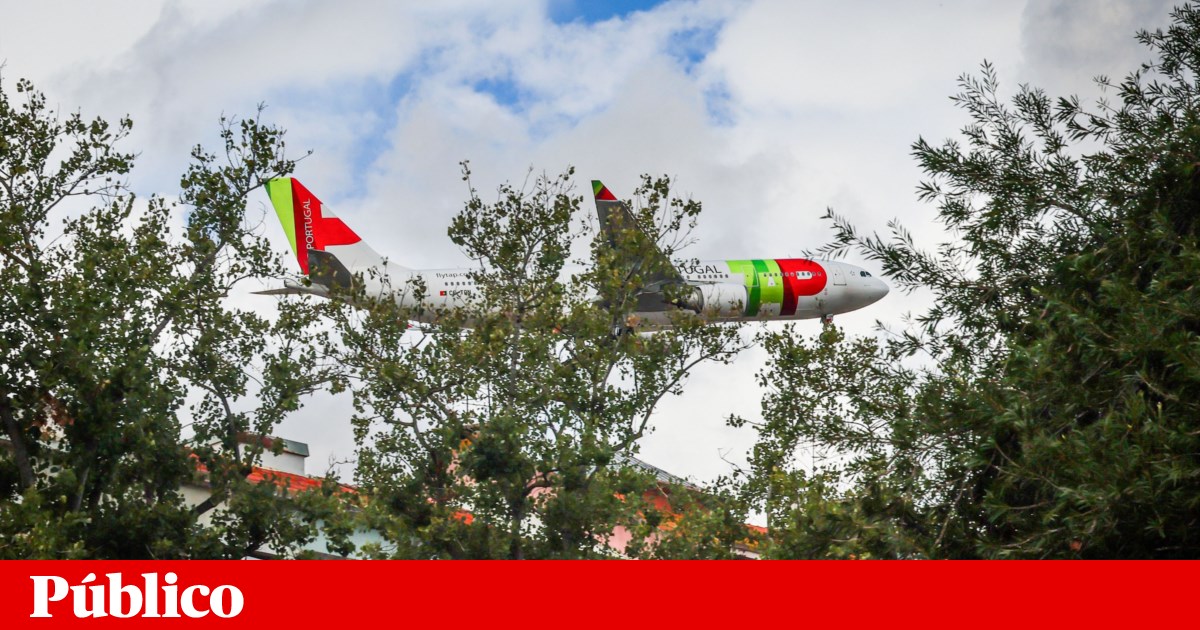 Government “believes” TAP will not cancel flights due to fuel shortages