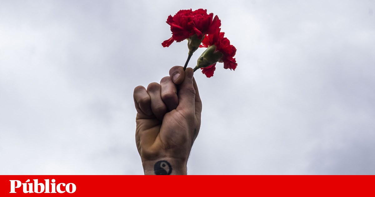 Lisbon cultural agents sign petition against the "devaluation" of April 25th