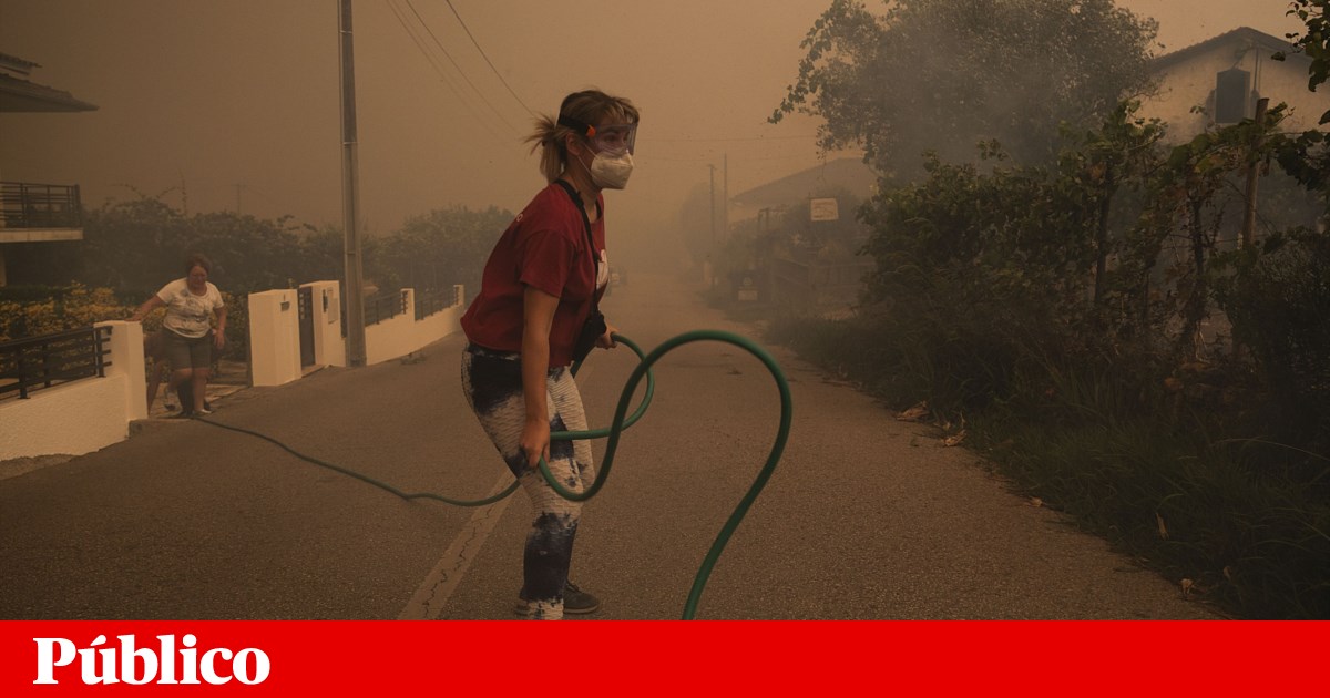 What to do before, during, and after wildfires? National Fire School launches online course