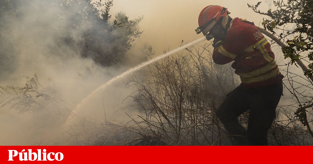 More than one hundred personnel fight fire in the Caramulo mountains