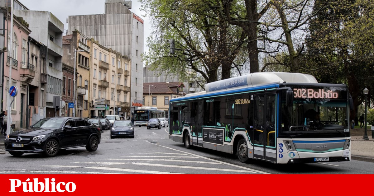 Porto may have free public transport by the summer