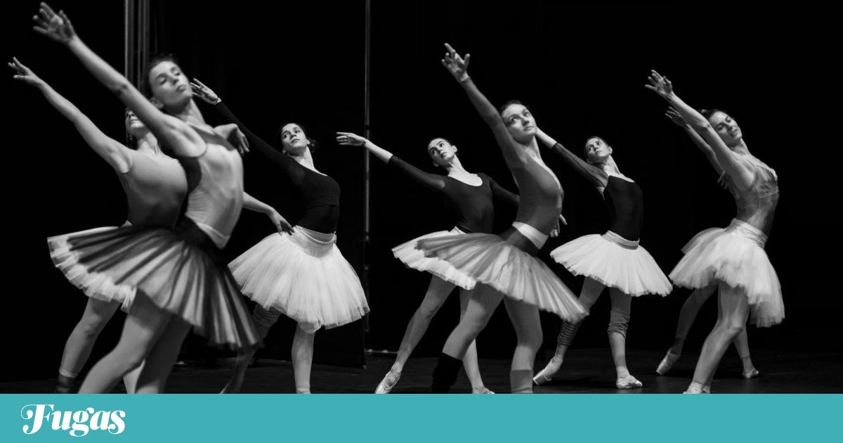 What to do? Wednesday is the day to see The Mousetrap and Swan Lake