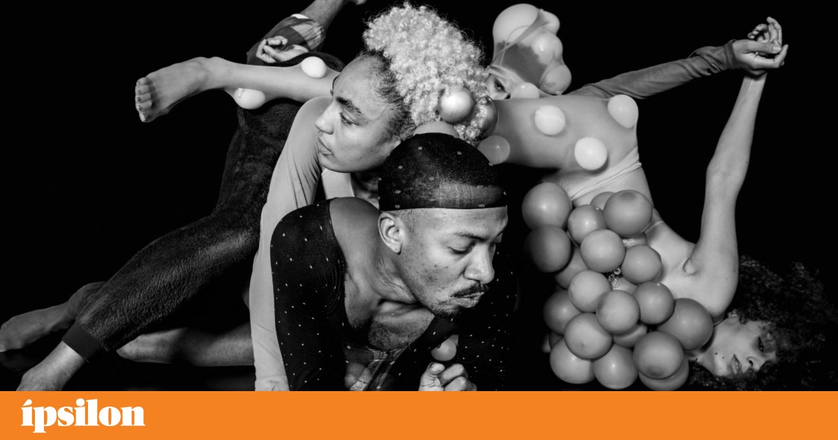 Alice Ripoll and Cia. Afrontosas: “ancestars” of the metamorphosis we still need to undergo