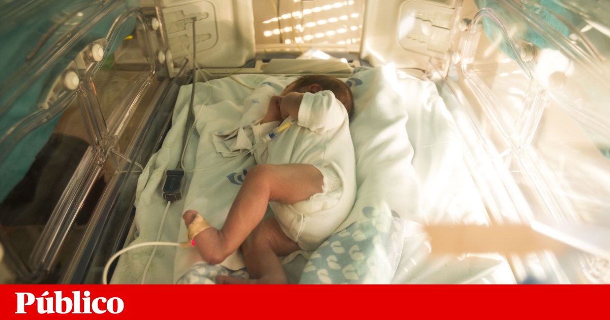 Births reach highest level in the first quarter of the last decade