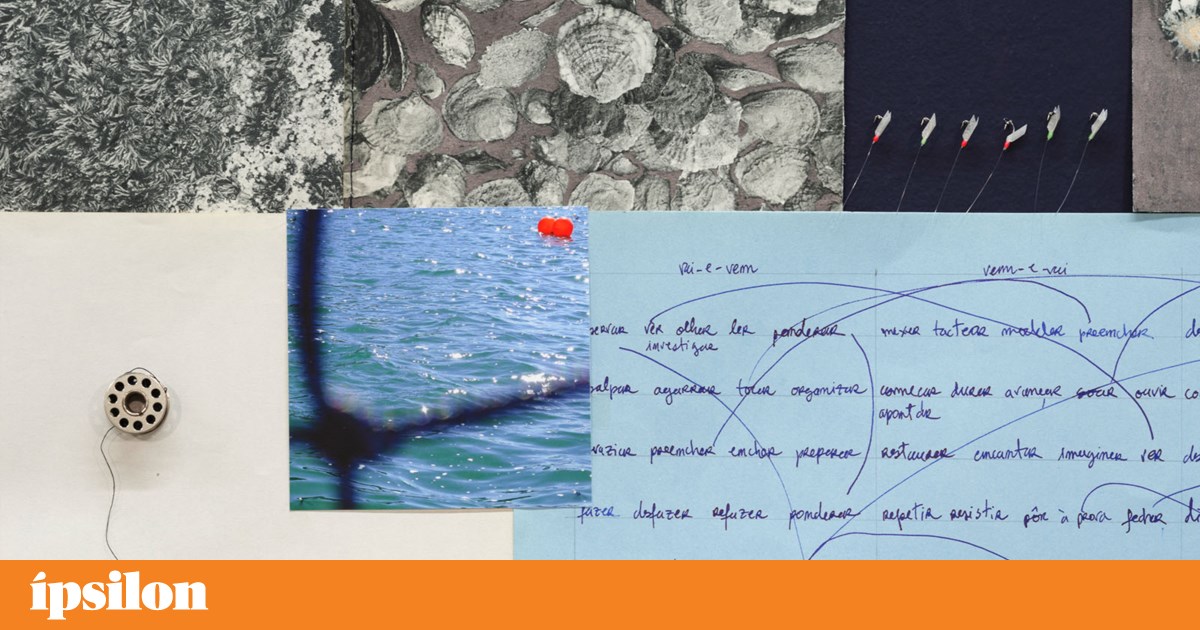 Cristina Robalo: drawings of deep darkness