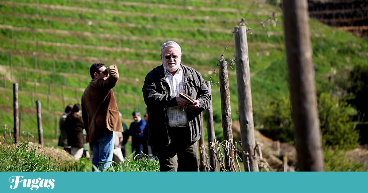 In memory of David, the aspiring Ramos of the April Revolution