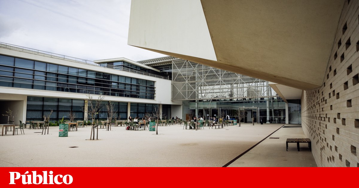 Rector elections at Nova University postponed by court decision