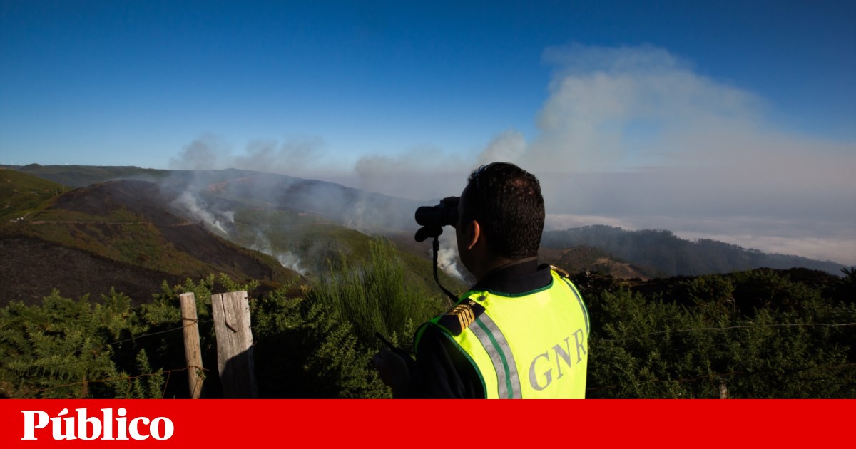 Wildfires: GNR has arrested 59 people this year for arson, mostly for negligent use