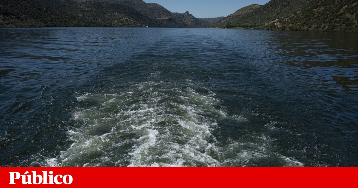 Recreational boat with three people sinks in the Douro. One is missing