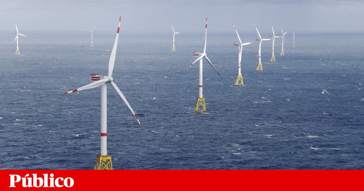 EDP exits two wind projects in the USA but must invest in 'conventional energy'