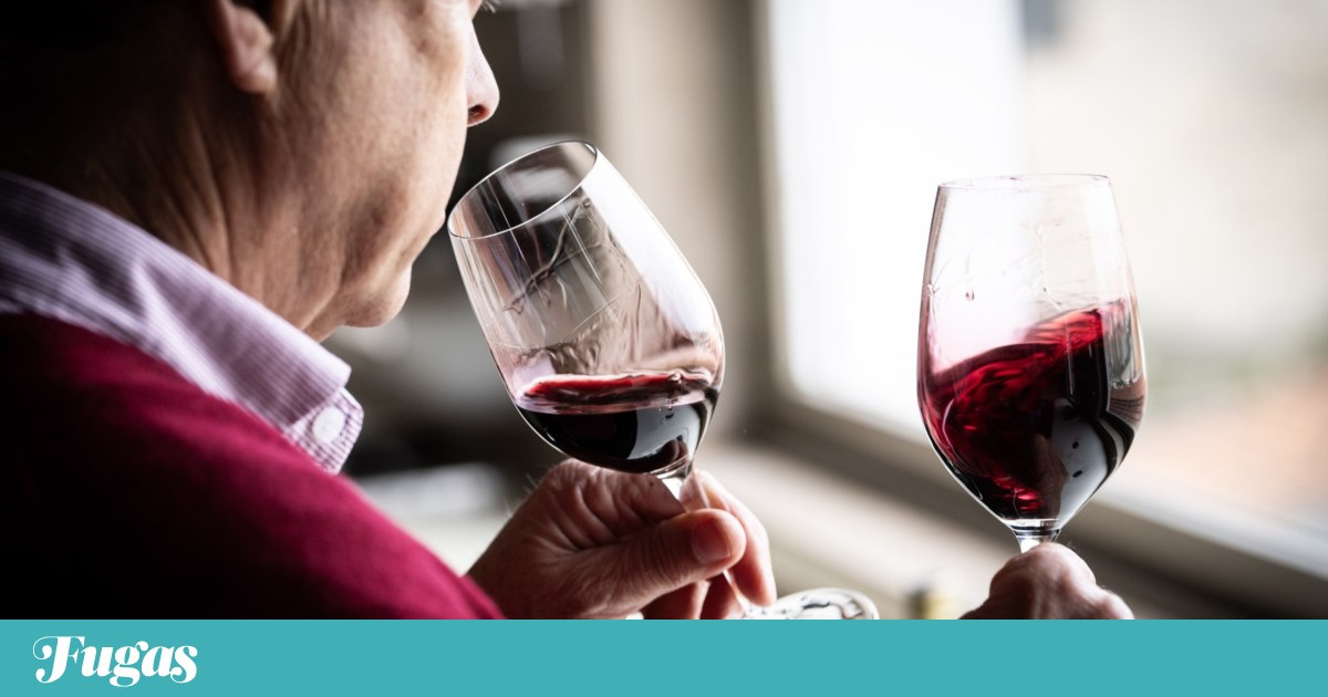 It is unanimous: 2024 is a vintage year for Port wine