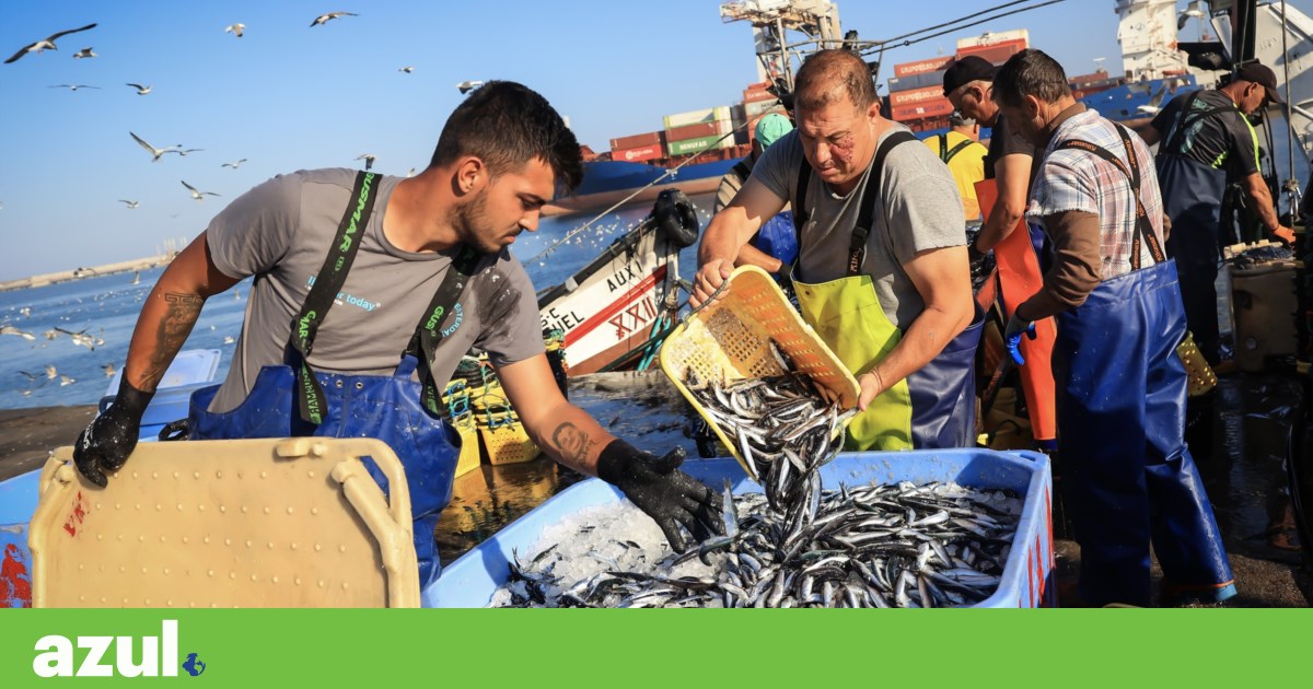 Common Fisheries Policy fell short of objectives, EU evaluation concludes