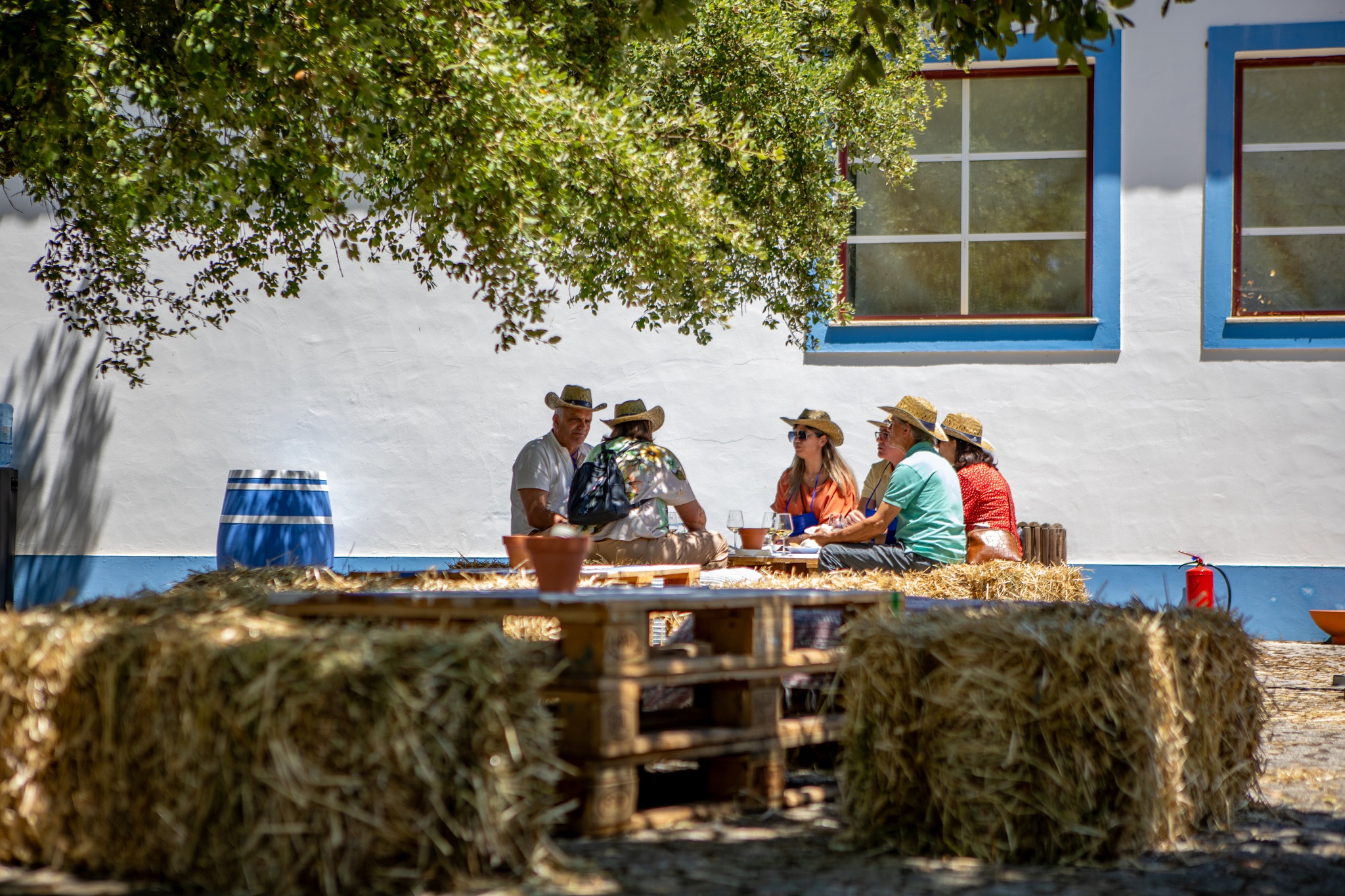 fimdesemana,tejo,vinhos,douro,fugas,alentejo,