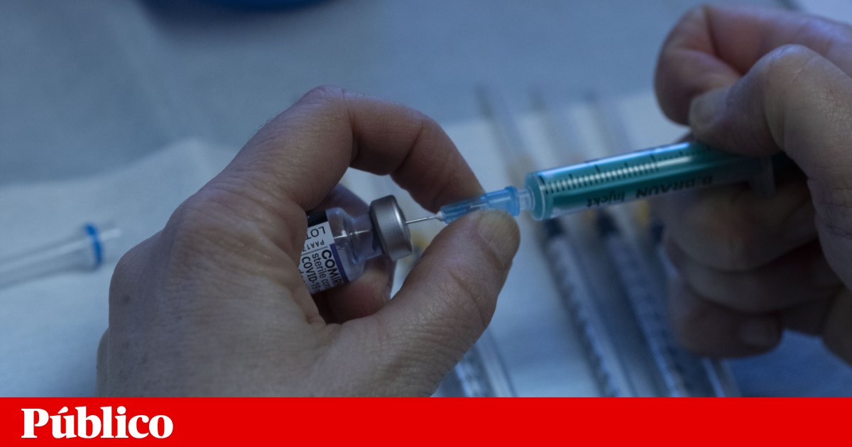 Vacina experimental protege ratinhos contra três espécies de Ébola — incluindo a Bundibugyo