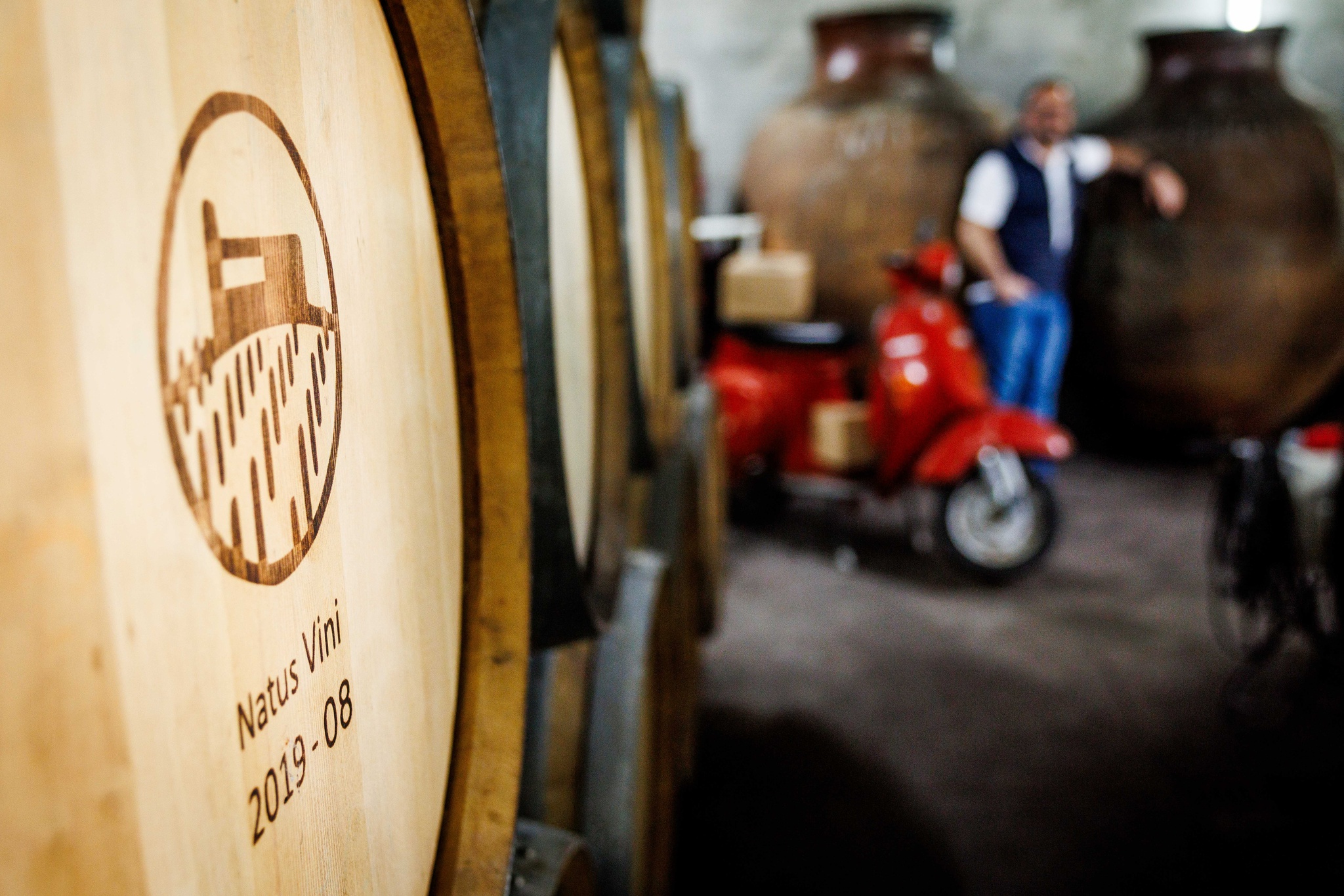 terroir,vidigueira,critica,vinhos,fugas,alentejo,