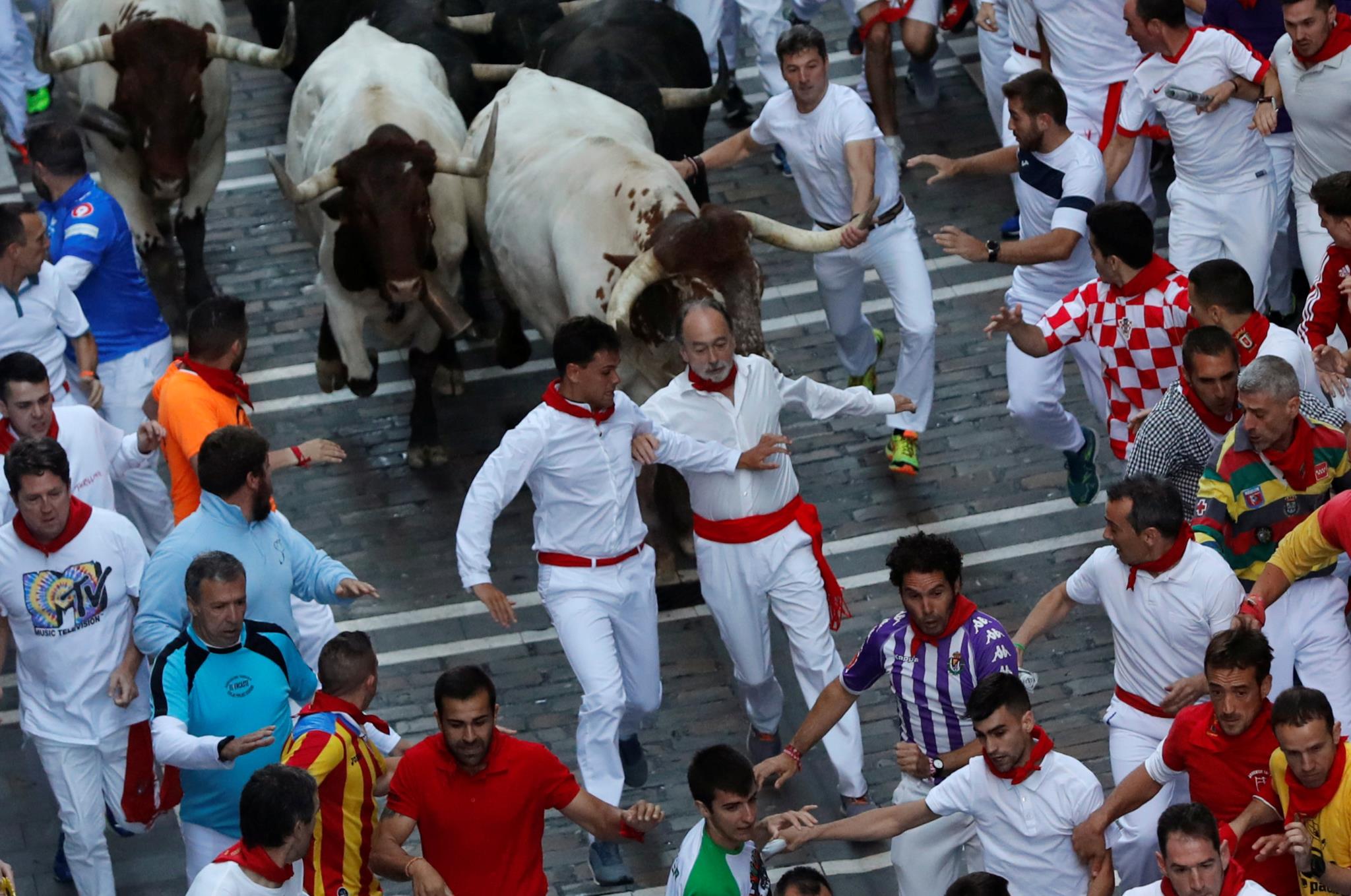 San Fermin - corrida de touros em Pamplona - Tauromania