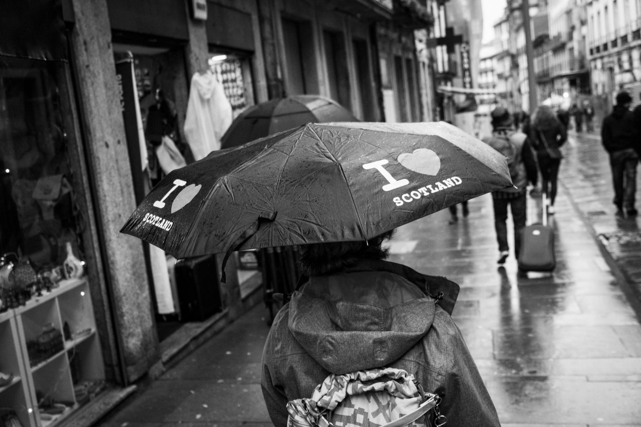 https://imagens.publico.pt/imagens.aspx/736271?tp=KM&db=IMAGENS&type=JPG