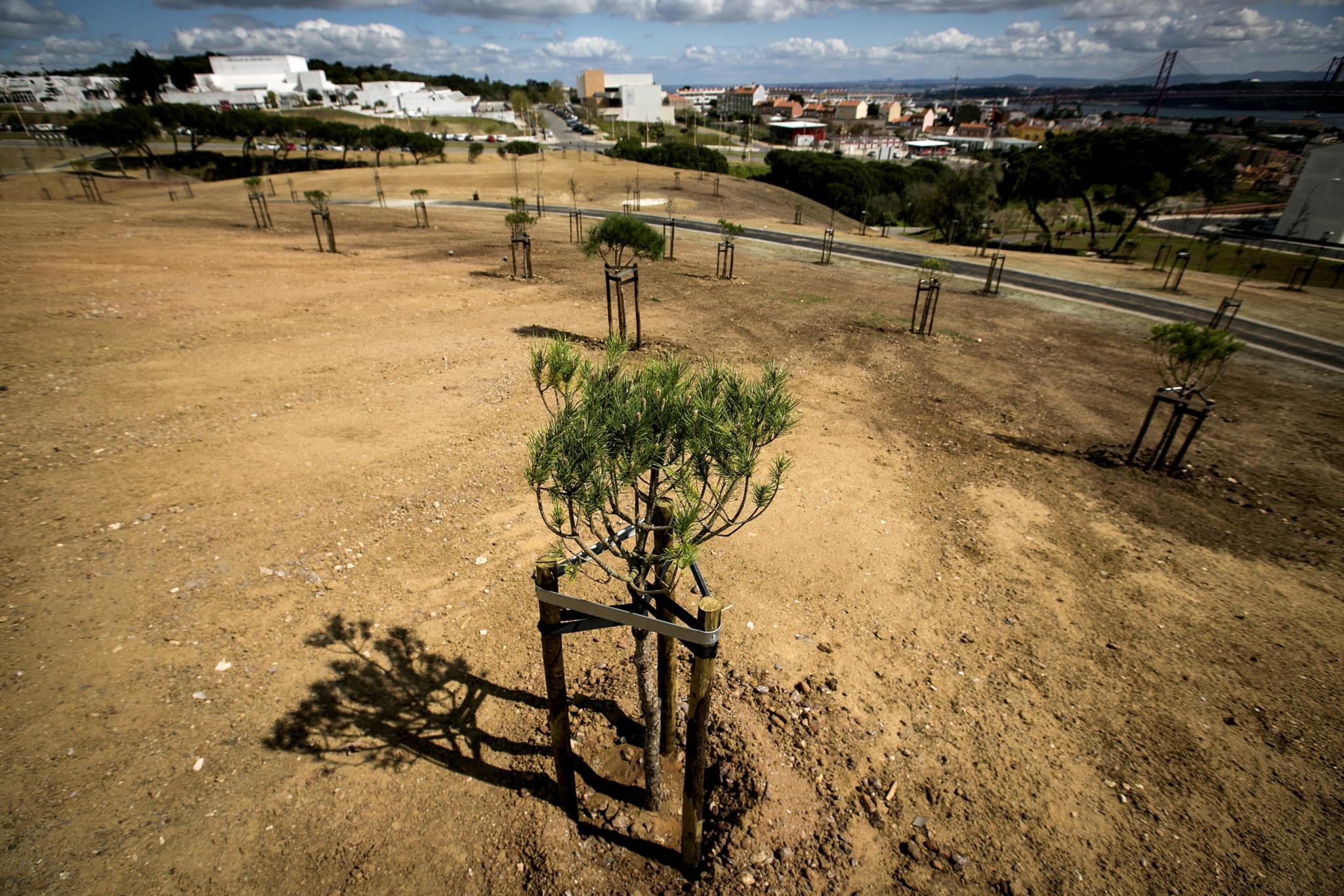 https://imagens.publico.pt/imagens.aspx/744774?tp=KM&db=IMAGENS&type=JPG