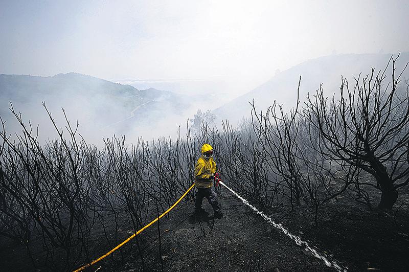 Incêndios no Algarve e na Madeira provocam fogo cruzado ...