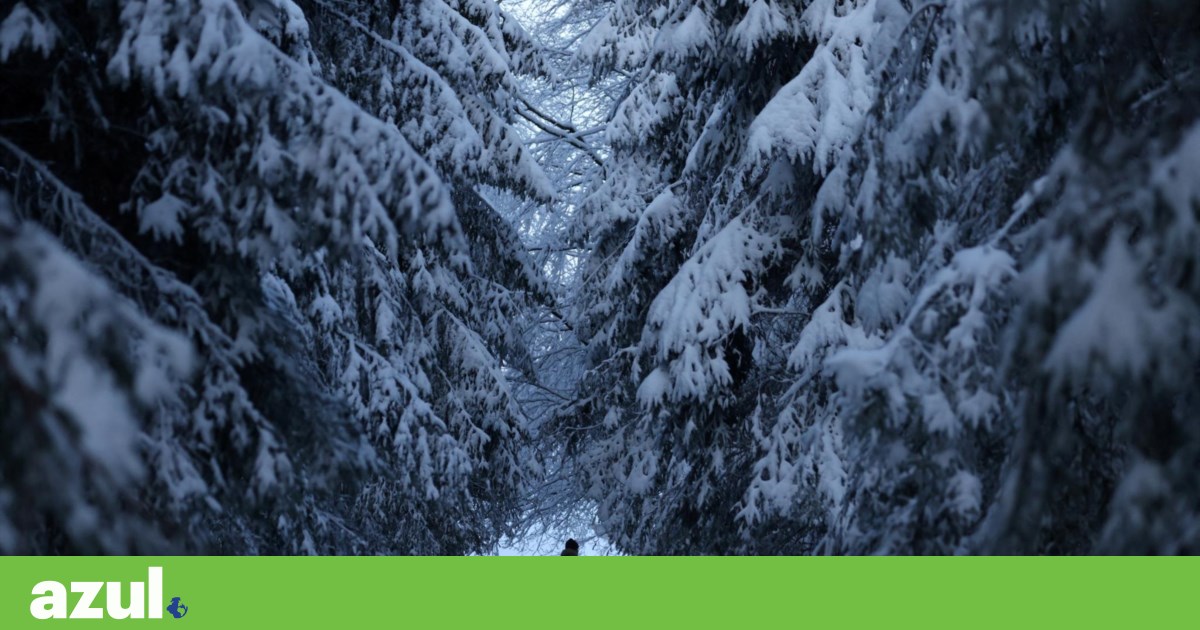 It took a while, but the snow covered Europe white | Photo Gallery It took a while, but the snow covered Europe white | Photo Gallery