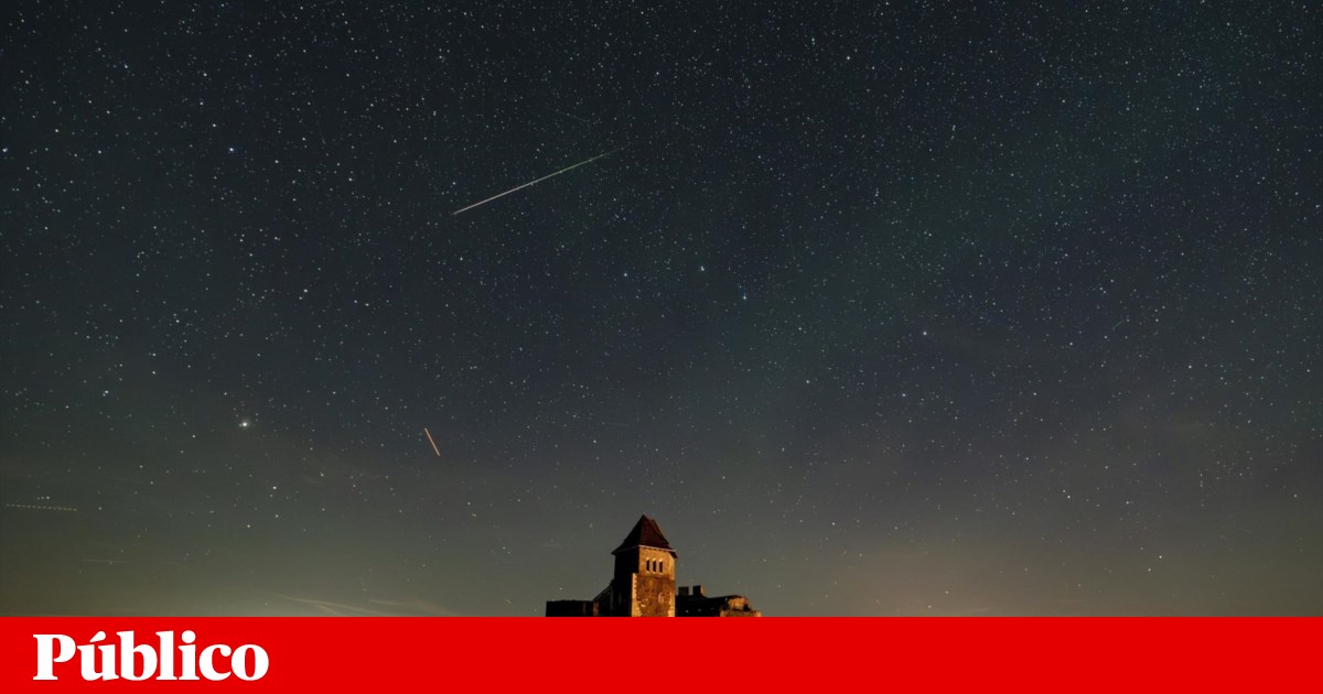 Perseids Meteor Shower: Witness the Spectacular Star Shower Lighting Up the Night Sky