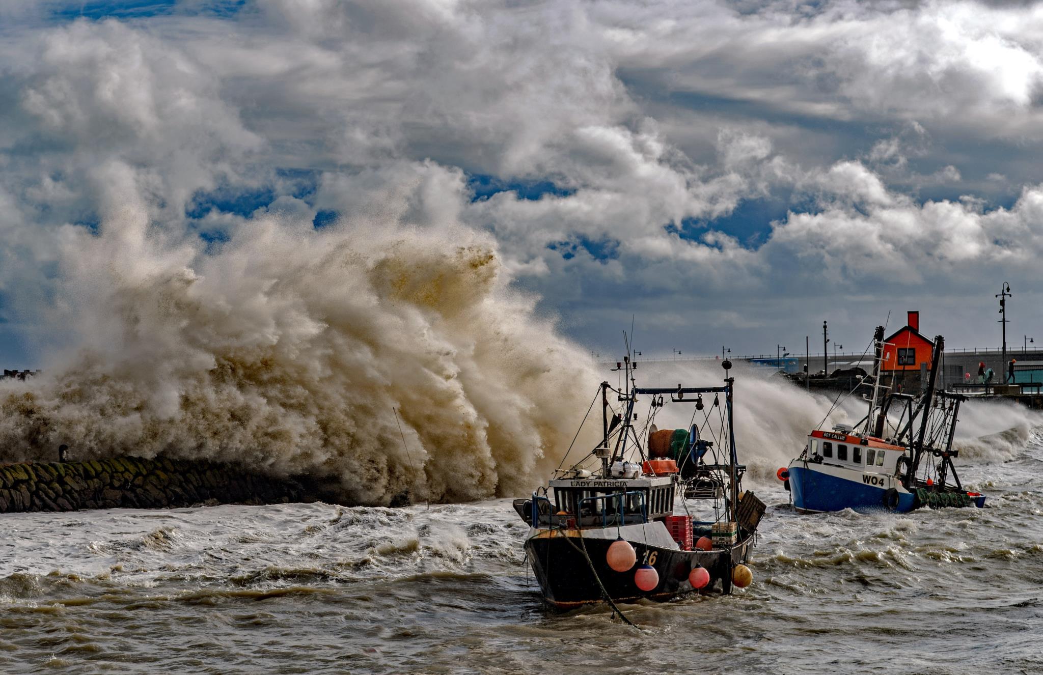 melhores codigos do construa um barco｜Pesquisa do TikTok